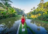 Step Into Prehistory: Jurassic World Comes Alive at Gardens by the Bay